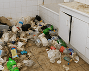 Squalor & Filth Cleaning
