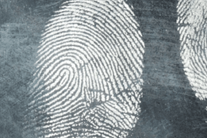Forensic & Biohazard Cleaning Unattended Death Cleanup Services