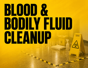 blood-and-bodily-fluid-cleanup-toowoomba Blood & Bodily Fluid Cleanup Toowoomba