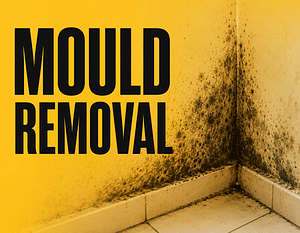 mould-removal-toowoomba Mould removal Toowoomba