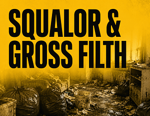 squalor-and-gross-filth-cleanup-toowoomba Squalor & Filth Cleanup Toowoomba