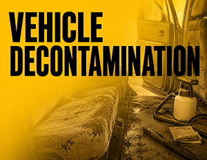 Vehicle decontamination Toowoomba