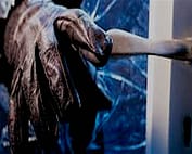 crime scene clean up