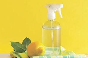 biohaz crime scene forensic cleaning northern rivers biohaz crime scene forensic cleaning northern rivers