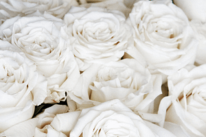 Unattended death cleaning Unattended Death Cleanup