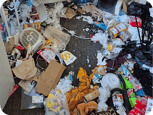 Filth & Squalor Cleanup Filth & Squalor Cleanup