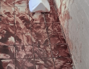 blood clean up murwillumbah