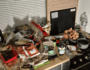 Squalor Cleanup Murwillumbah