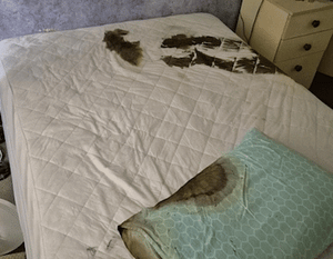 Unattended Death Cleanup Murwillumbah