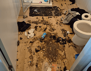 Faeces & Urine Cleanup Urine & Faeces Cleaning & Decontamination