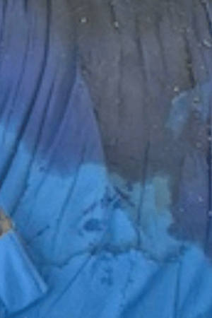 Unattended Death Cleanup Step 1