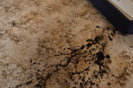 Biological & Decompostion Cleanup Biological Cleanup