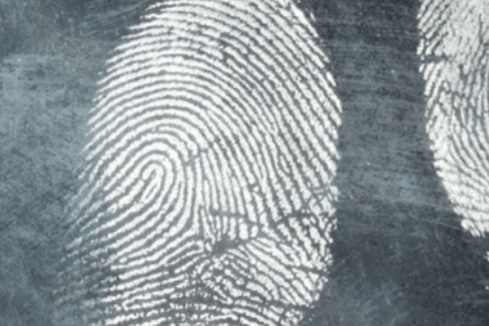 Forensic & Biohazard Cleaning Death and Suicide Clea Ups Yamba