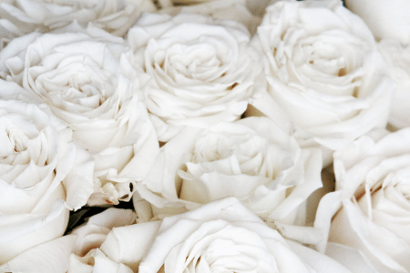 Unattended death cleaning Unattended Death Cleanup