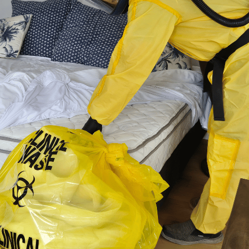 biohazard and forensic cleaning Banora Point