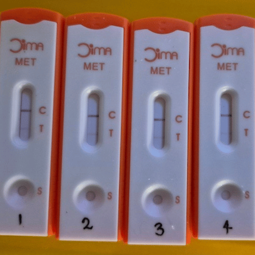 meth testing Banora Point